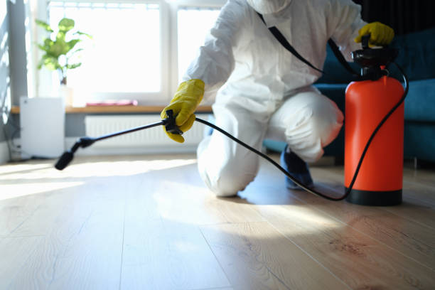 Best Insect Control  in Triangle, VA