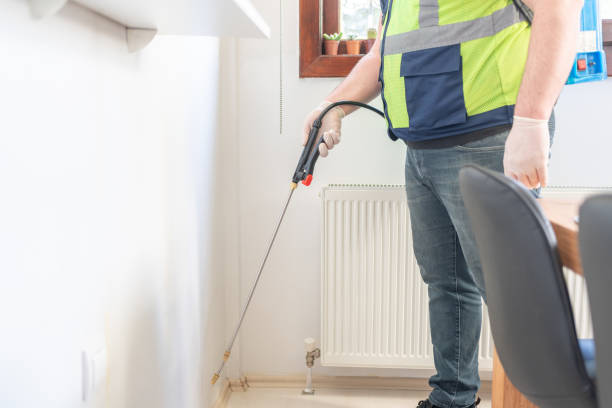 Best Flea Control Services  in Triangle, VA