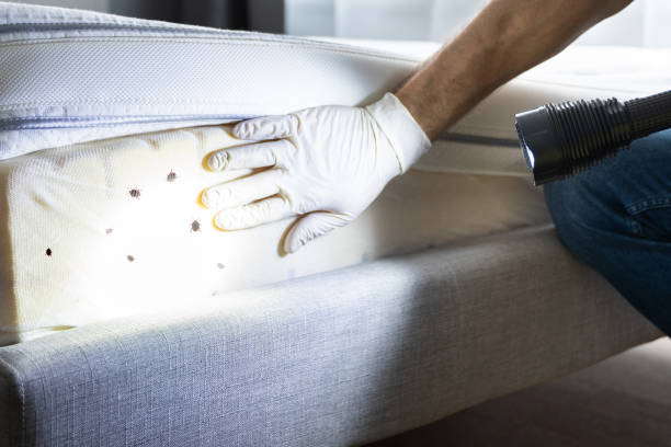 Pest Control for Restaurants in Triangle, VA