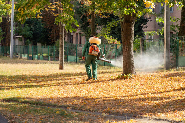 Best Pest Inspection Near Me  in Triangle, VA