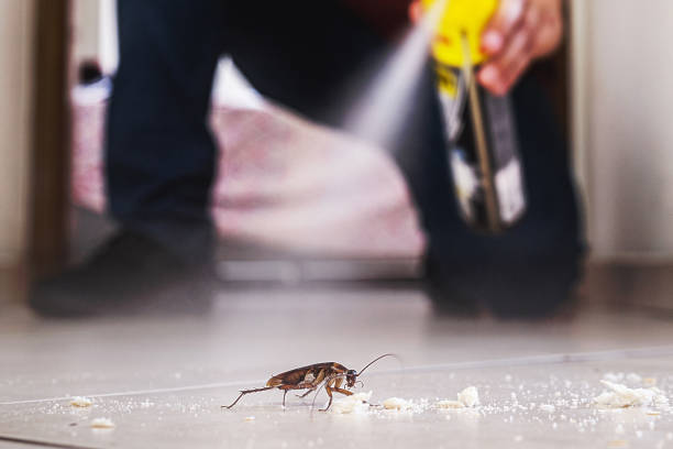 Best Pest Inspection Near Me  in Triangle, VA