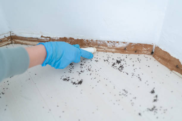 Triangle, VA Pest Control Company